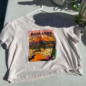 Levi’s t-shirt, crop top. Size medium